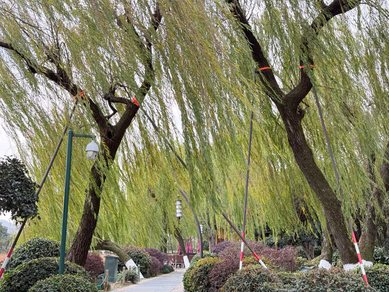 Hangzhou Private Tour - Su Causeway 1