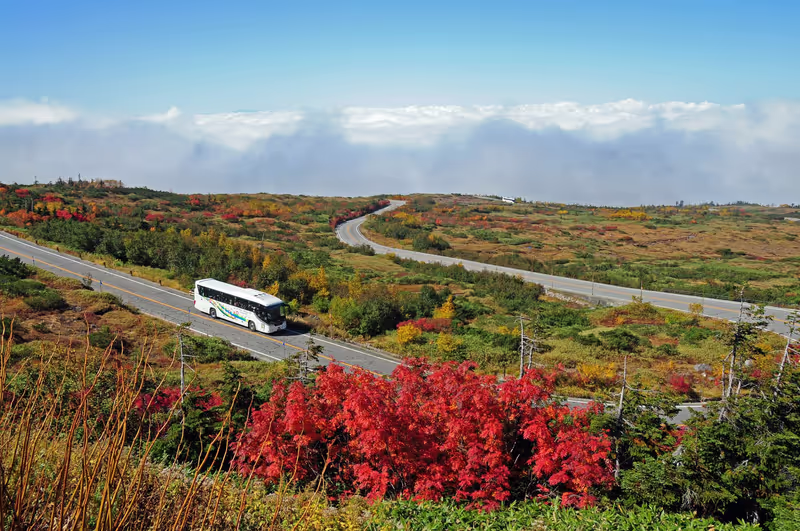 Toyama Private Tour - Highland Bus in Fall