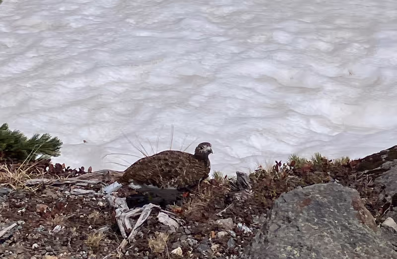 Toyama Private Tour - 