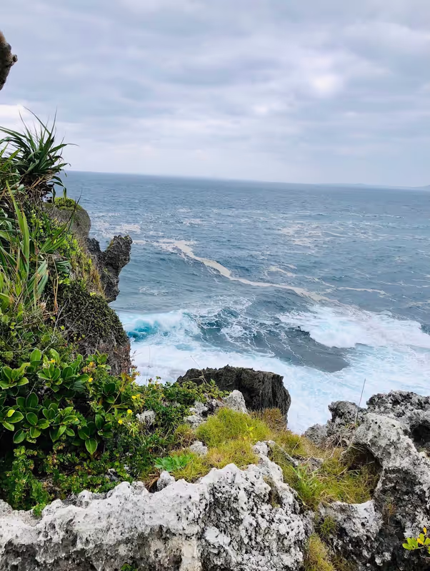 Okinawa Main Island Private Tour - 