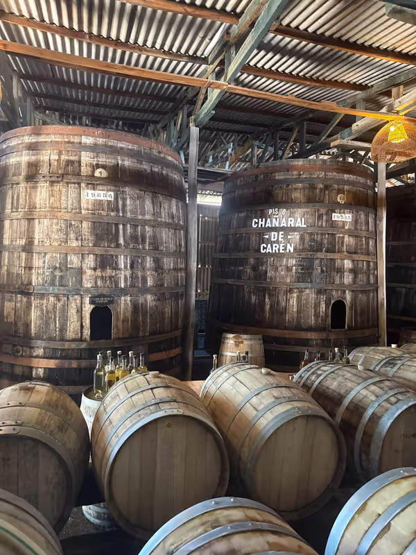 Santiago Private Tour - 