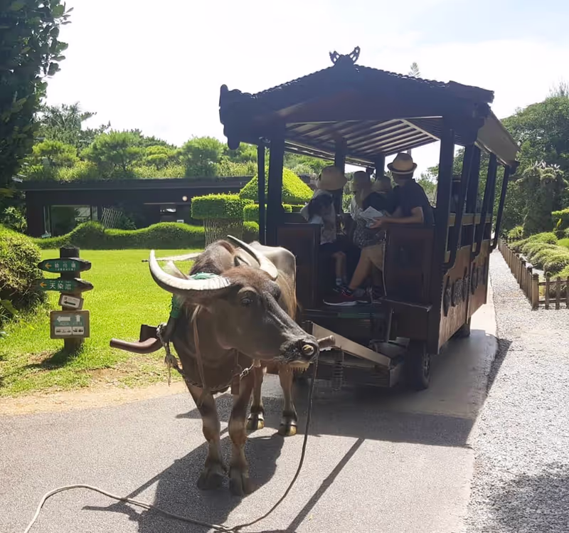 Okinawa Main Island Private Tour - 