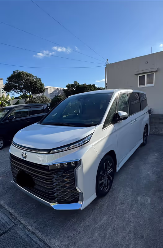 Okinawa Main Island Private Tour - Voxy 2025