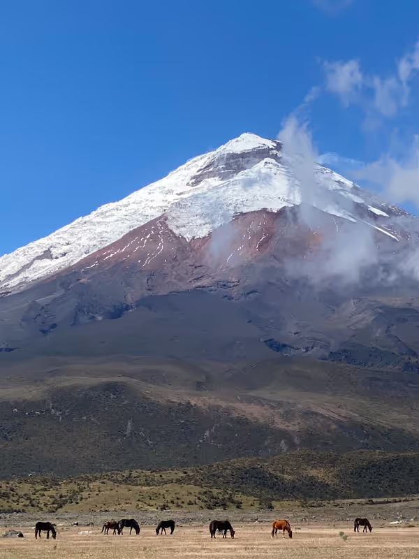 Cotopaxi Private Tour - 
