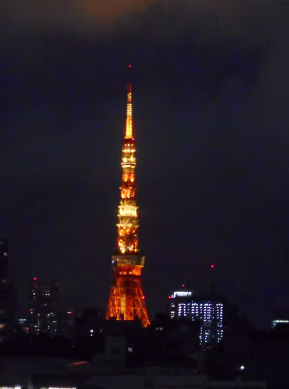 Tokyo Private Tour - Tokyo Tower