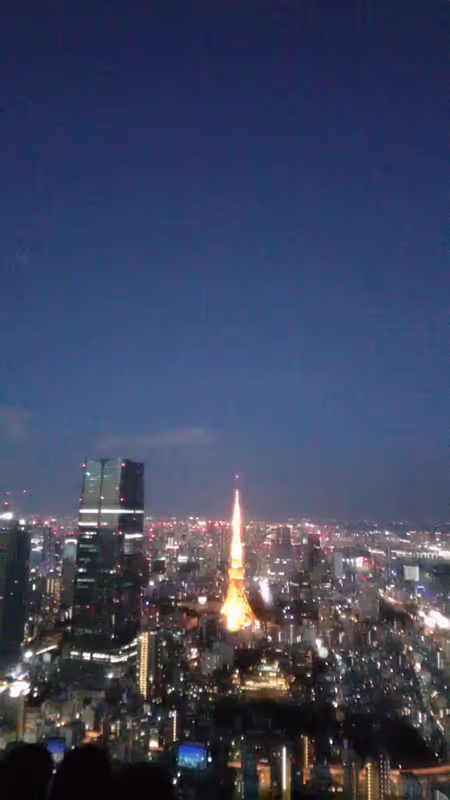 Tokyo Private Tour - 
