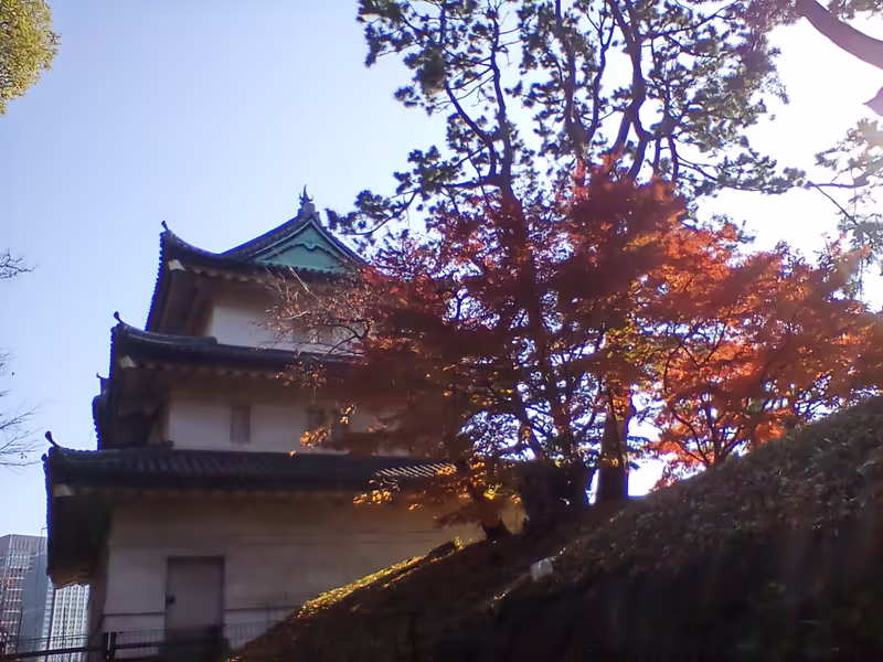 Tokyo Private Tour - Fujimi Keep at East Gardens
