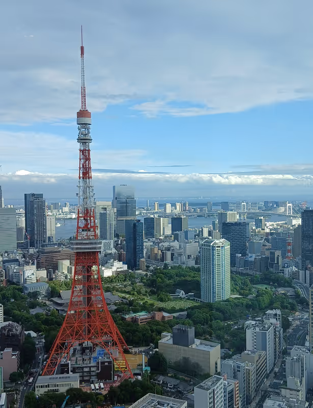 Tokyo Private Tour - 
