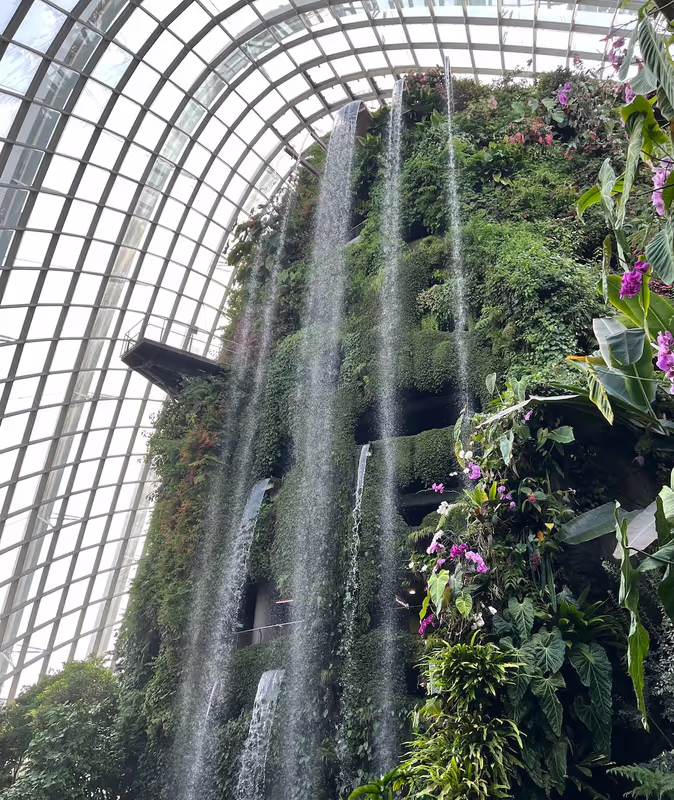 Singapore Private Tour - Waterfall in Cloud Forest of Gardens by the Bay