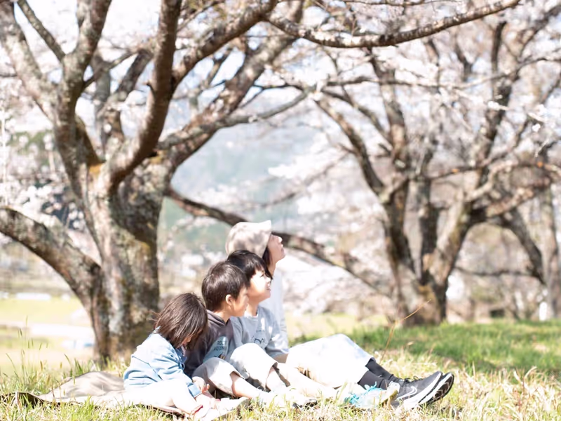 Hiroshima Private Tour - Sakura with no crowds
