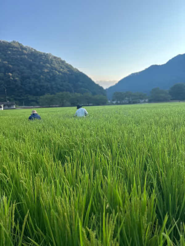 Hiroshima Private Tour - Local Rice Farmer