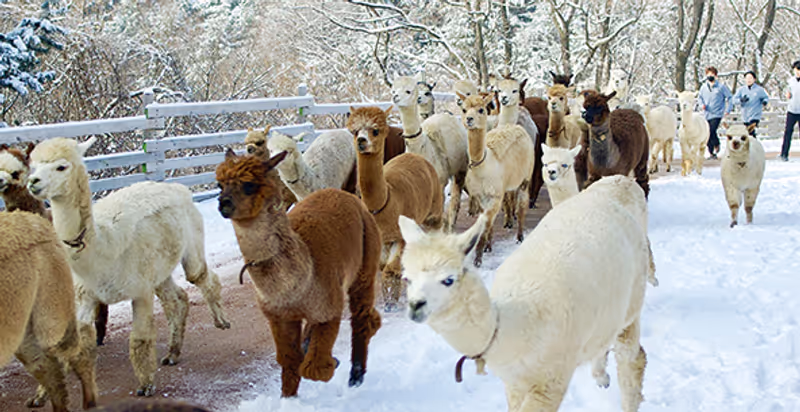 Seoul Private Tour - 