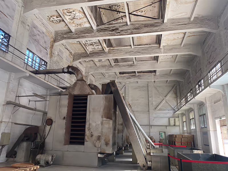Xiamen Private Tour - Tea factory