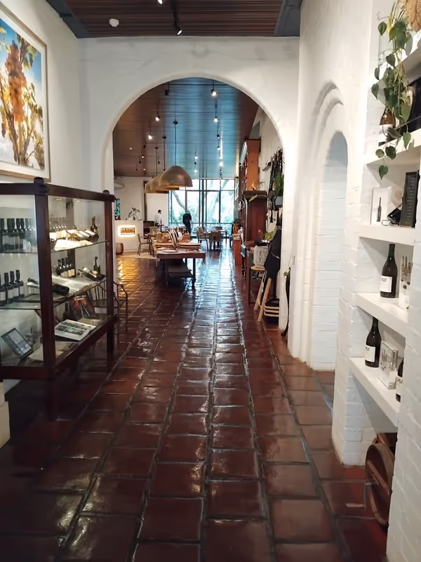 Cape Town Private Tour - Constantia vineyards
