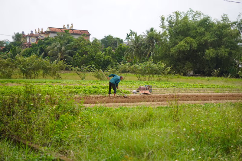 Da Nang Private Tour - 