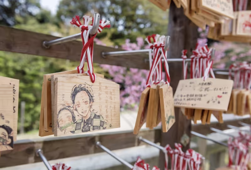 Fukuoka Private Tour - 