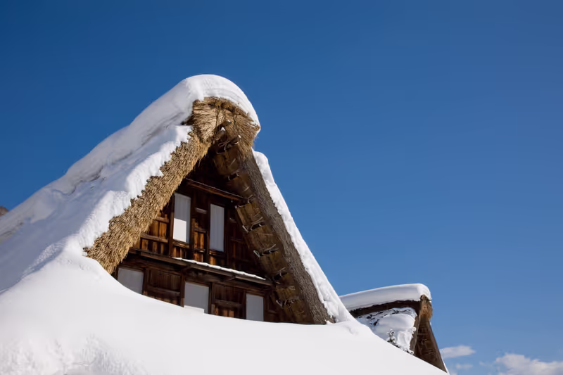 Toyama Private Tour - Snowcapped Thatched roof