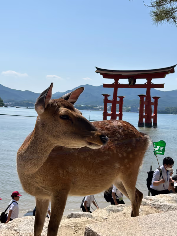 Hiroshima Private Tour - 