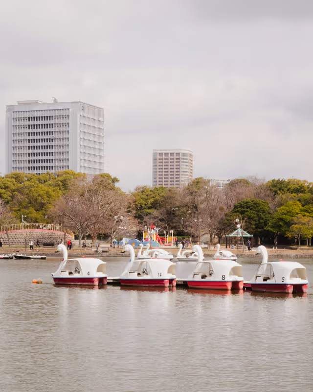 Fukuoka Private Tour - Ohori Park