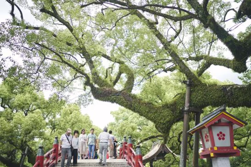 Fukuoka Private Tour - 