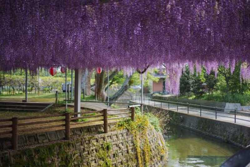 Fukuoka Private Tour - 