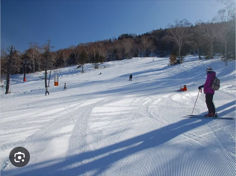 Nagano Private Tour - 