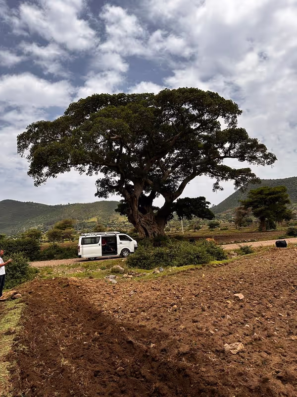 Addis Ababa Private Tour - 