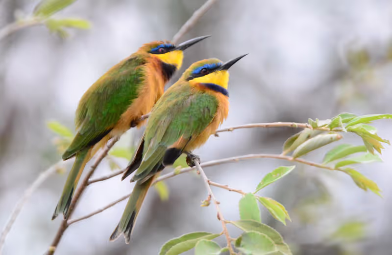 Addis Ababa Private Tour - 