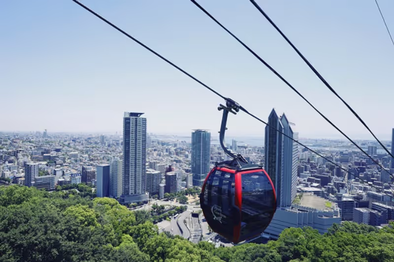 Hyogo Private Tour - 