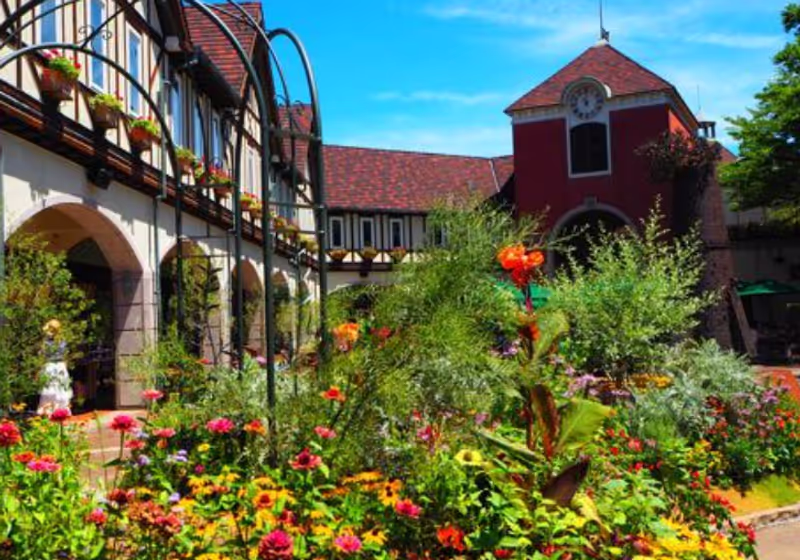 Hyogo Private Tour - 