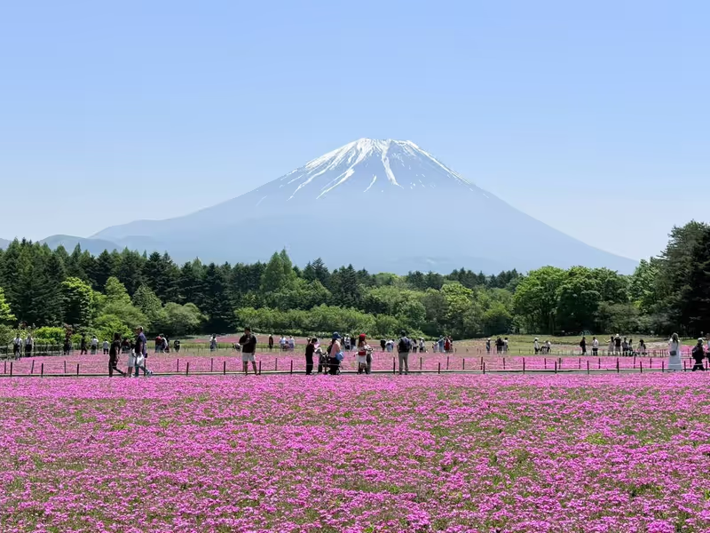 Narita Private Tour - 