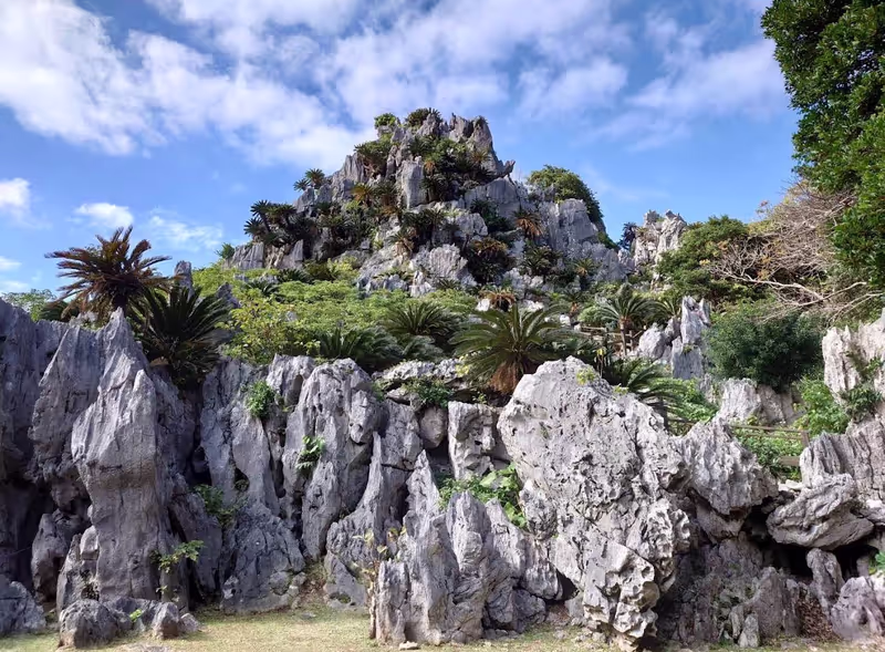 Okinawa Main Island Private Tour - 