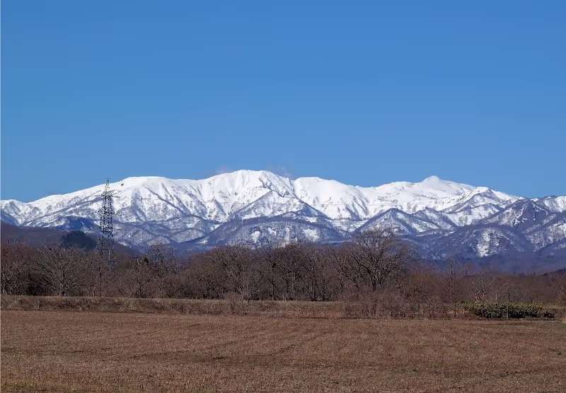 Hakodate Private Tour - 