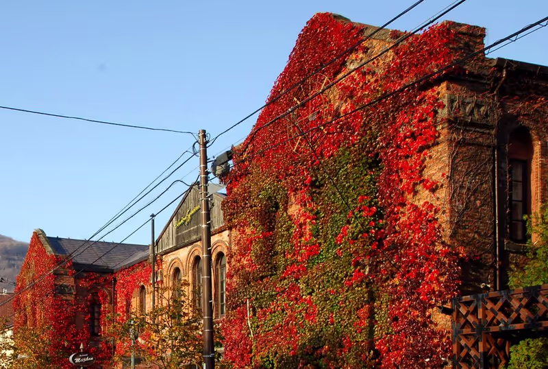 Hakodate Private Tour - 