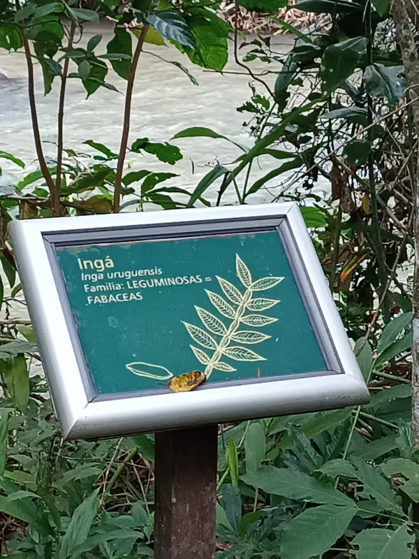 Parana Private Tour - Argentina Walk