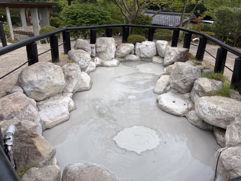 Fukuoka Private Tour - Beppu Hells