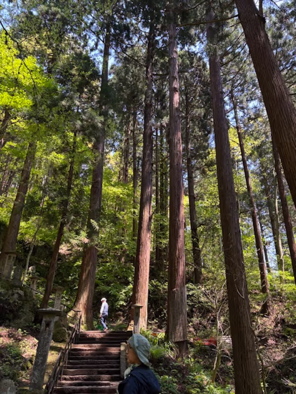 Miyagi Private Tour - 