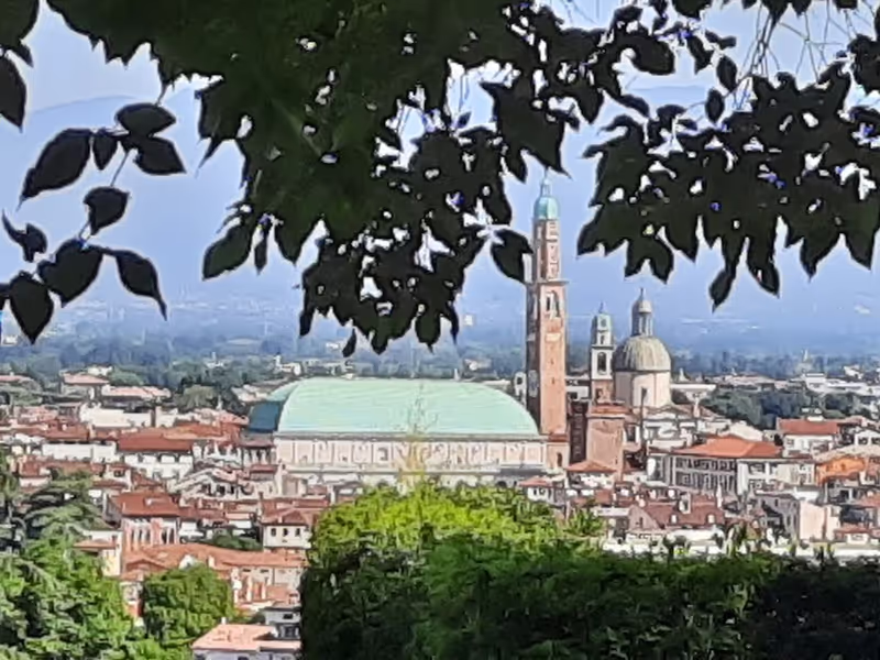 Vicenza Private Tour - Basilica Palladiana, view from Berico Hill