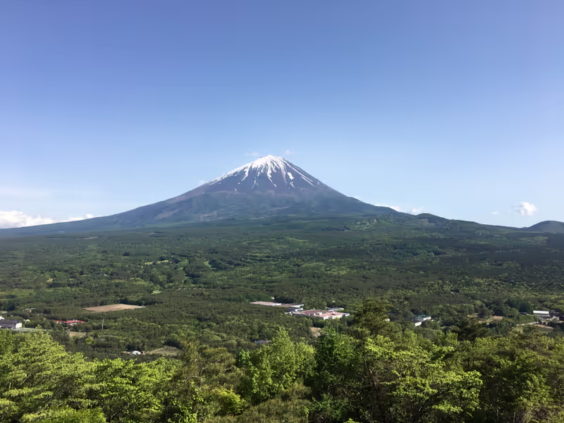 Yamanashi Private Tour - Mount Fuji and Aokigahara