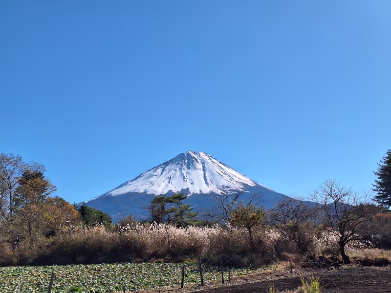 Yamanashi Private Tour - Mount Fuji with snow