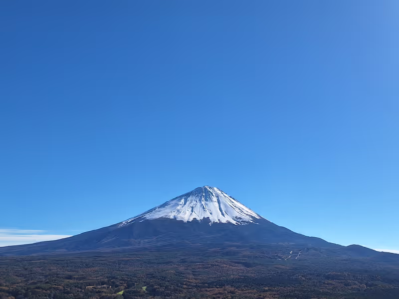 Yamanashi Private Tour - Mount Fuji and Aokigahara