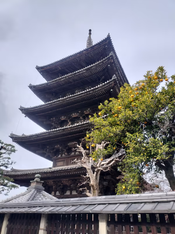 Kyoto Private Tour - 