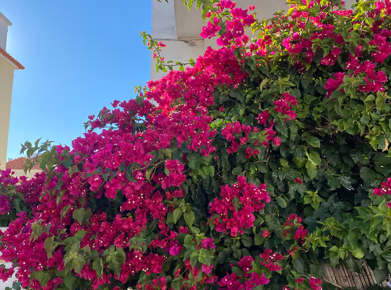 Lisbon Private Tour - 