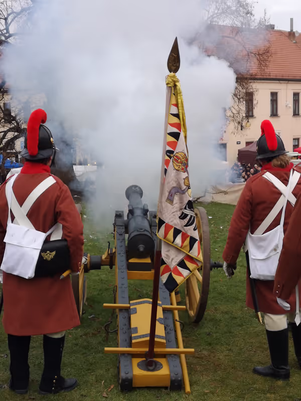 Vienna Private Tour - Cannons optional