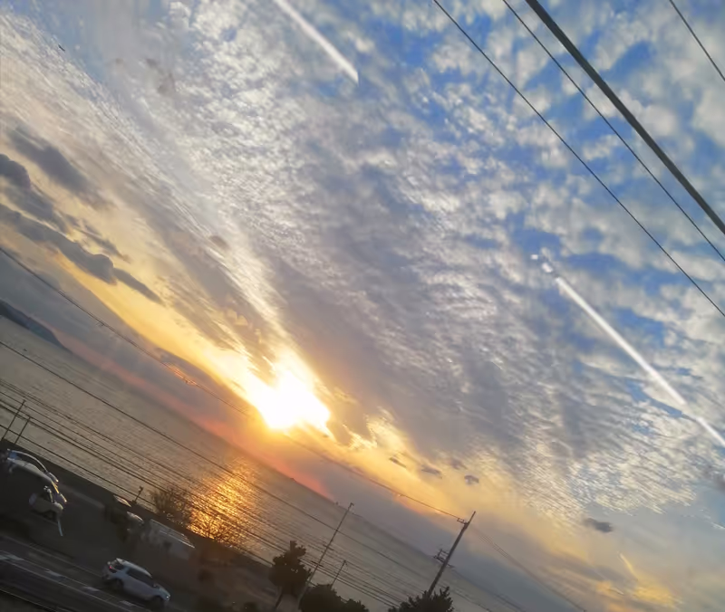 Hyogo Private Tour - 