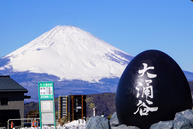 Kanagawa Private Tour - Mont Fuji et sculpture de l’œuf noir