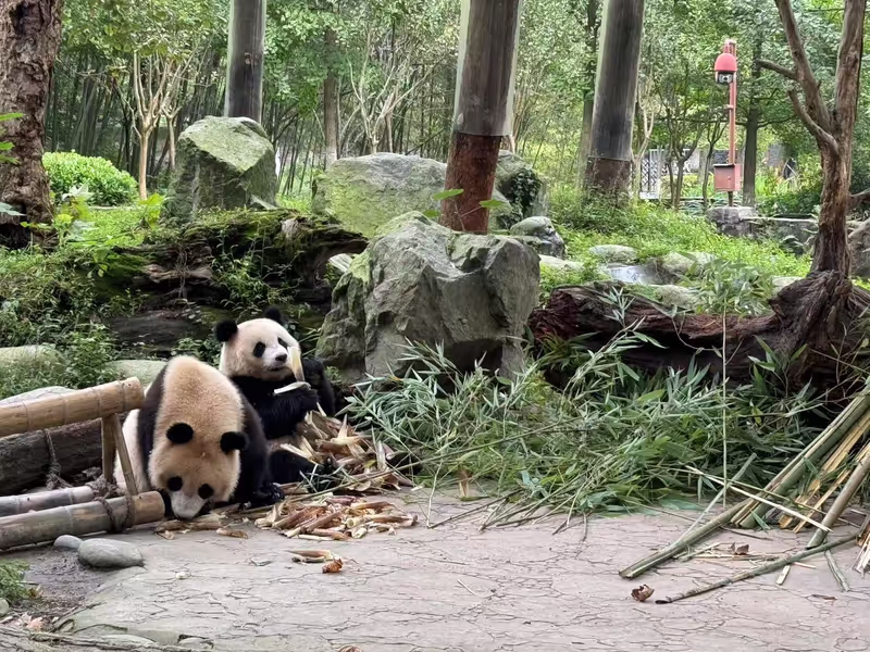 Chengdu Private Tour - 