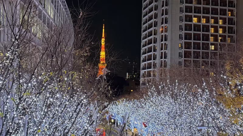 Narita Private Tour - 