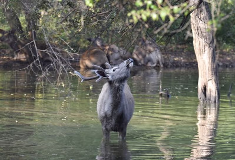 Jaipur Private Tour - 