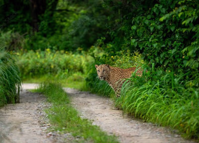 Jaipur Private Tour - 